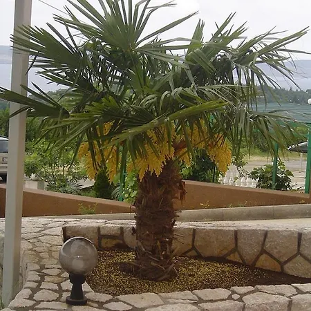 Апартаменты In With Sea View, Balcony, Air Conditioning, Wifi 4623-10