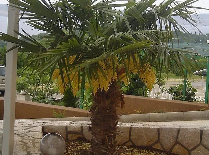 Lejlighed In With Sea View, Balcony, Air Conditioning, Wifi 4623-10
